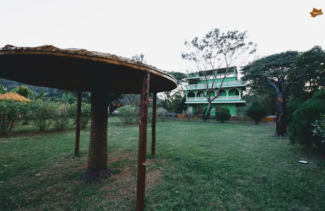 Wooden Leaf Satkosia