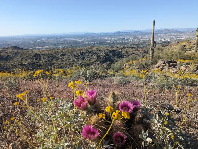 Trailhead South Mountain Desert Classic