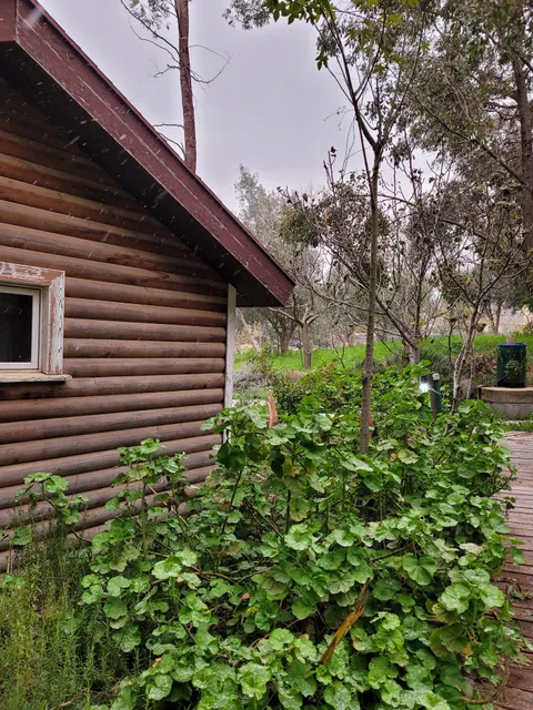 בקתות המצוק