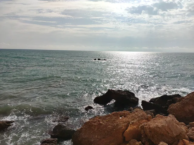 Apartamentos Punta Canaret 3000