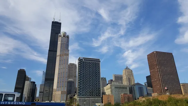 Shoreline Sightseeing