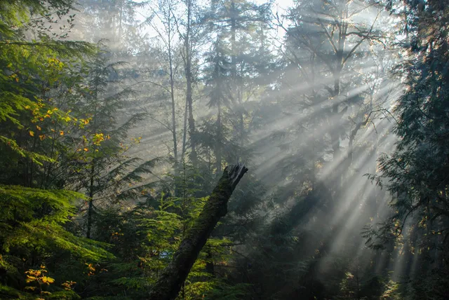 Skookumchuck Narrows Trailhead