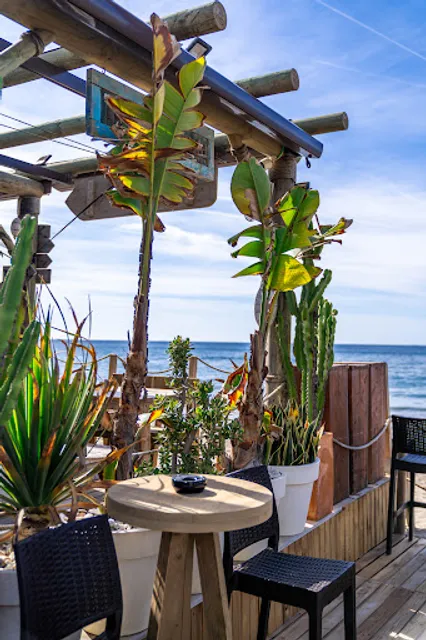 Lido Beach | Chiringuito - Restaurante