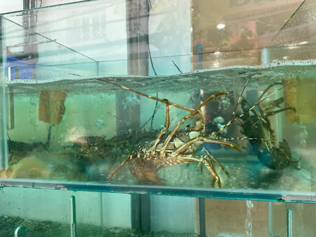 Nhà Hàng Hải Đăng