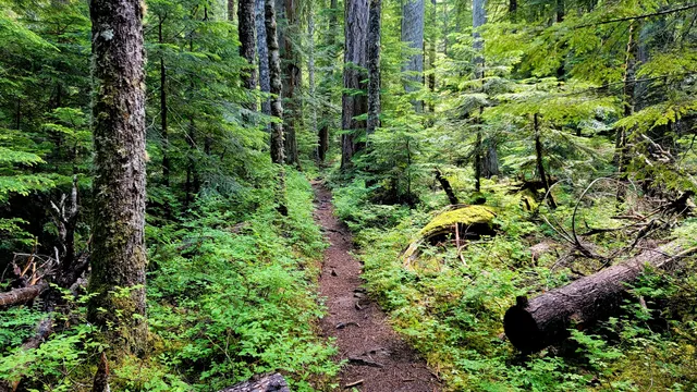 Pyramid Lake Trailhead
