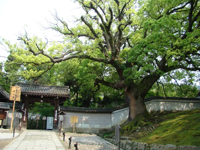 Shōrenin Temple