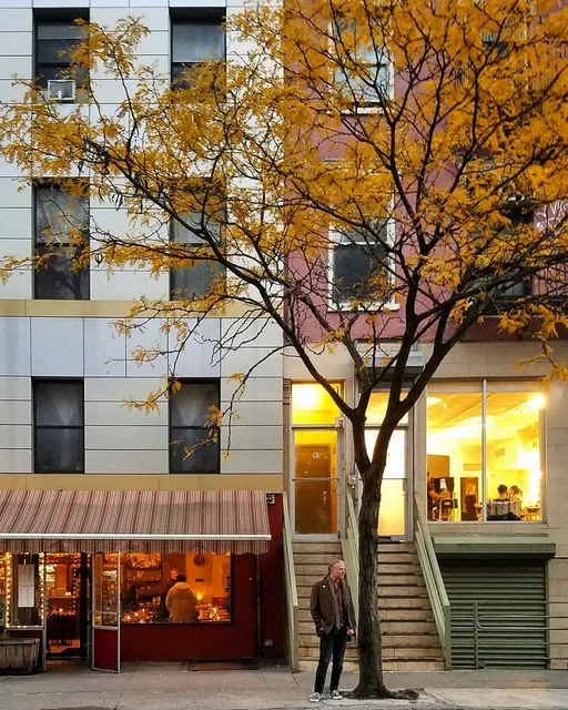 Studio LES (Studioteria)