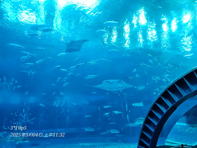 沖縄美ら海水族館イベントホール Event hall