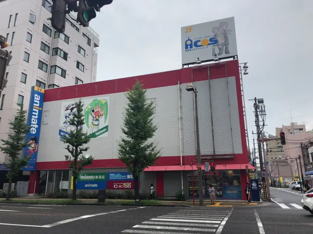 Animate Niigata