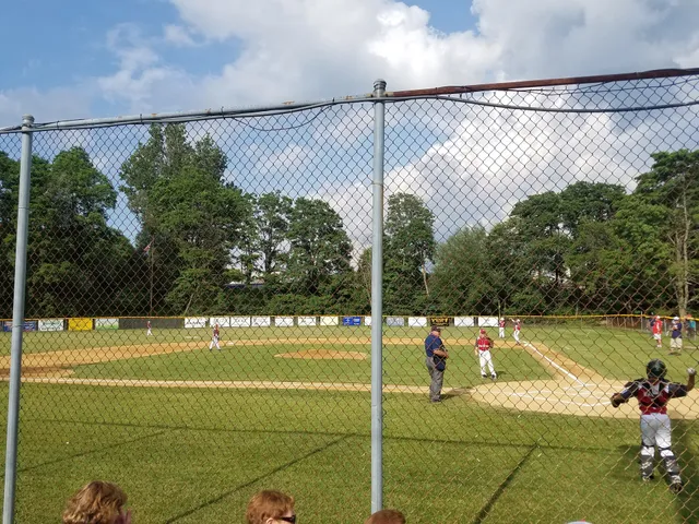 Shenandoah Little League