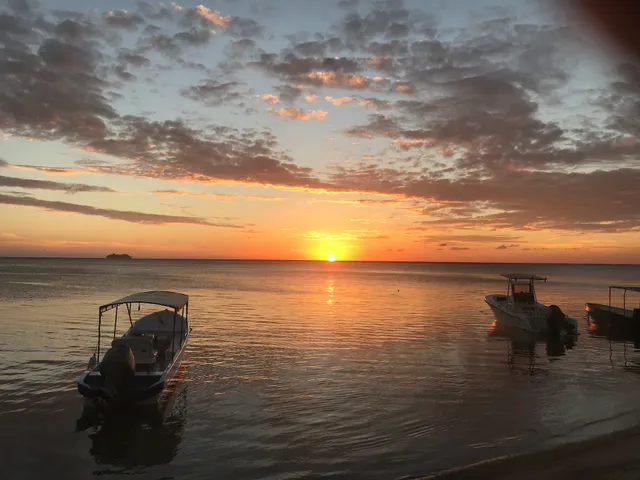 The Roatan Chocolate Factory