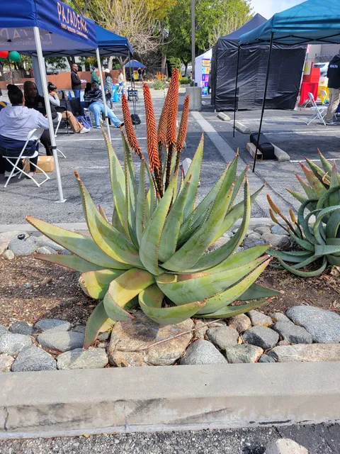 Pacific Oaks College Administration Office