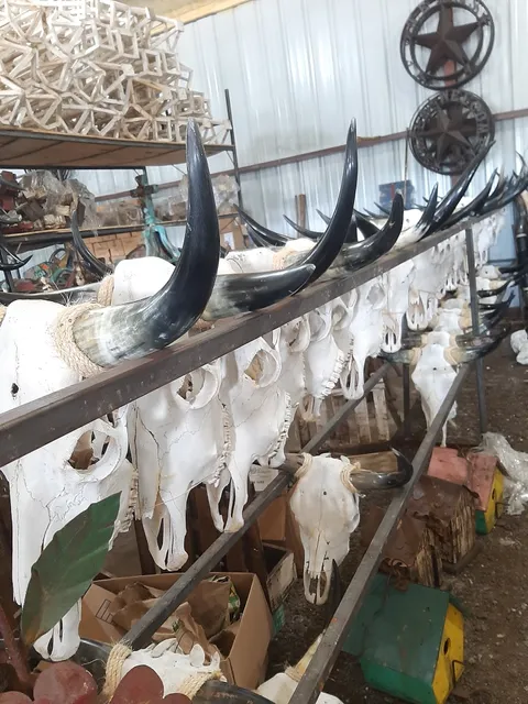 LUISES PEREZ IMPORTS