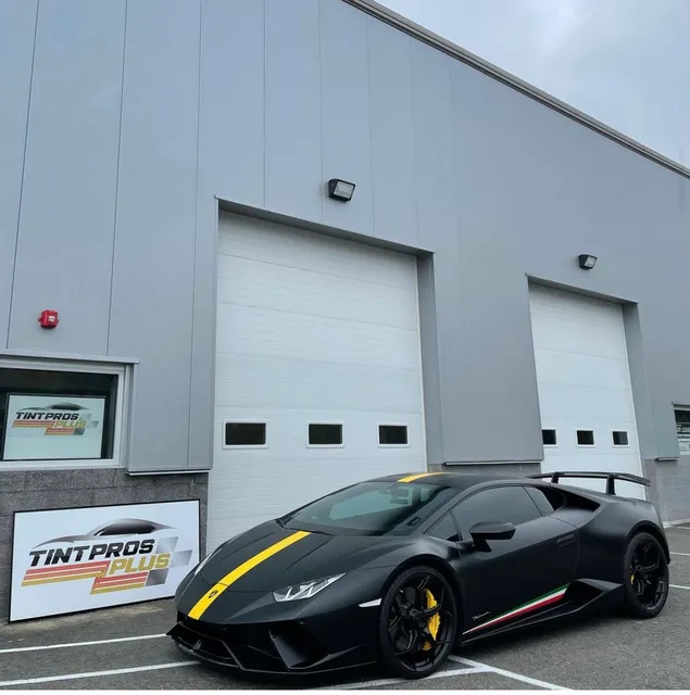 Tint Pros Plus