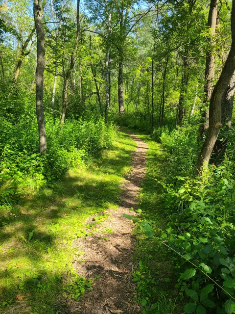 Woodland Trails Regional Park