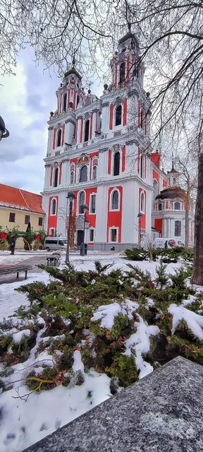 Asimare, O. Puodziulaitienes imone