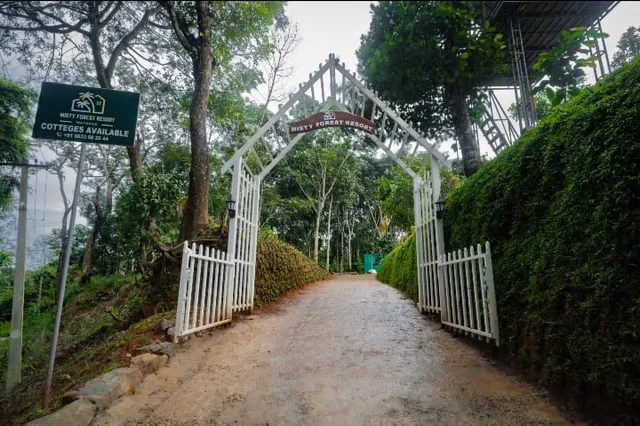Misty forest resort