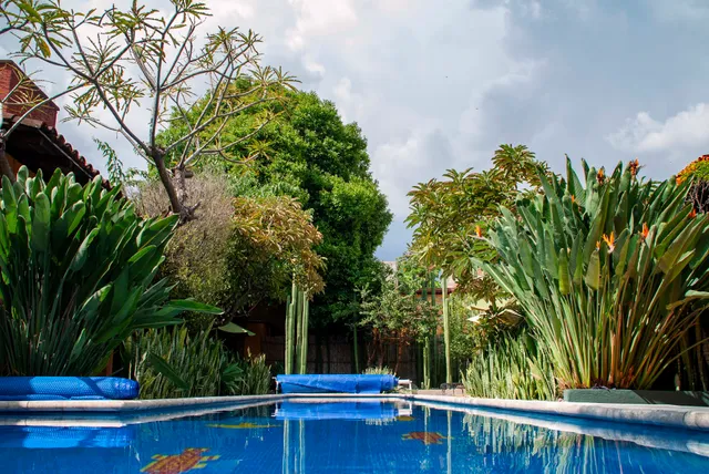 Casa Murguia rental villa