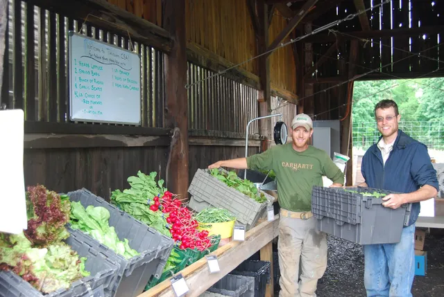 Tinicum CSA
