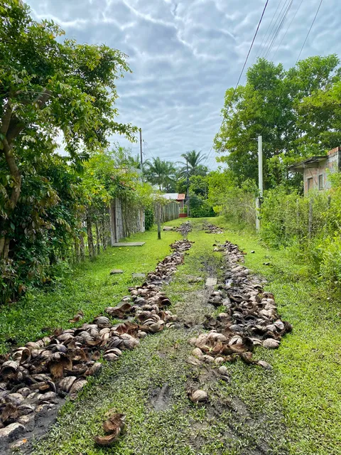 Pousada Beija Flor - Ilha de Boipeba