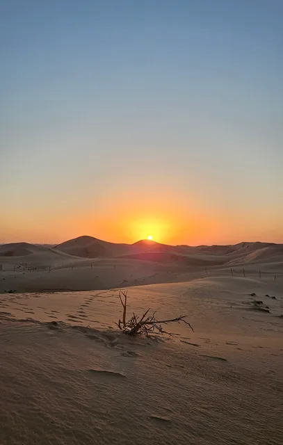 Desert Rose Safari Camp