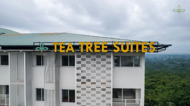 Tea Tree Suites