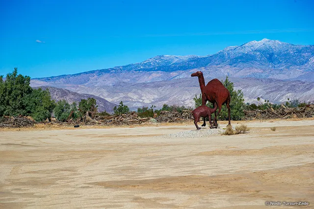Camels Sculptures