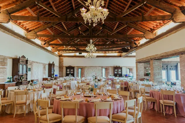 Viñedos Cigarral Santa María