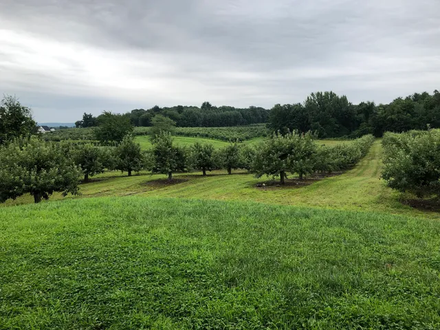 Meadowbrook Orchards