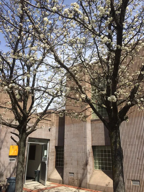 Brooklyn Public Library - Jamaica Bay Branch