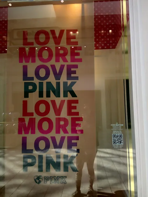 Victoria's Secret & PINK