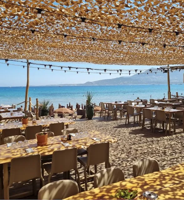 L octopussy papagayo