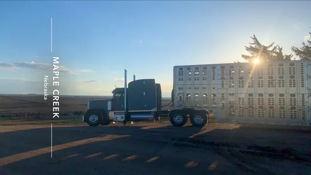 Cedar Hills Cattle Company