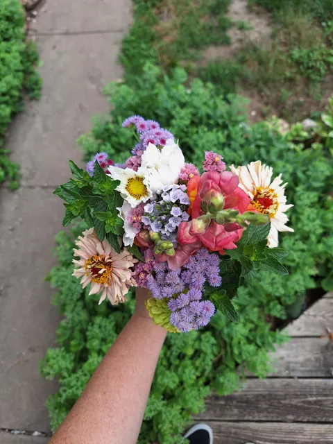 Terre Haute Farmers Market