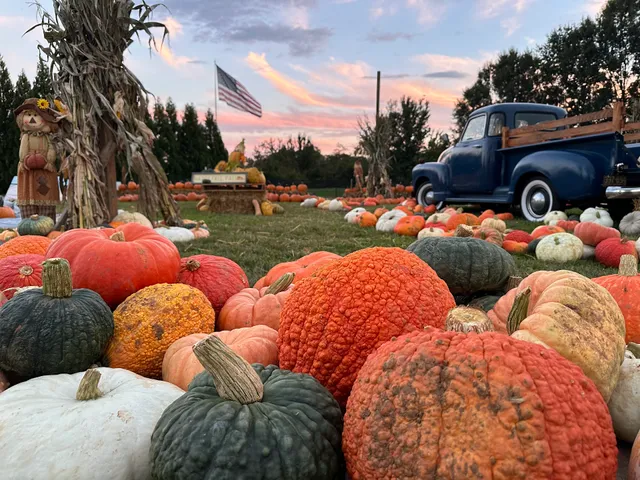 Kernersville Pumpkins and Christmas Trees