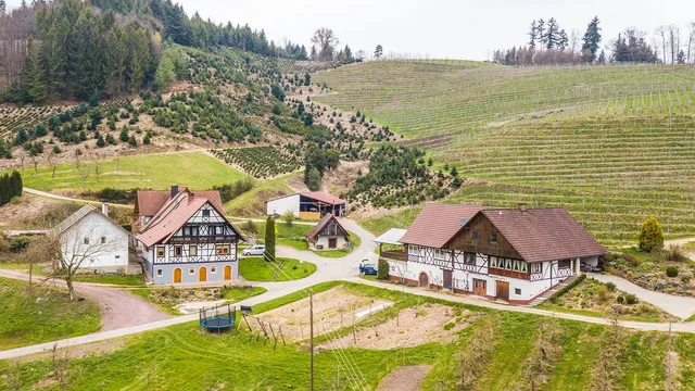 Ferienwohnungen Steinhof Familie Birk