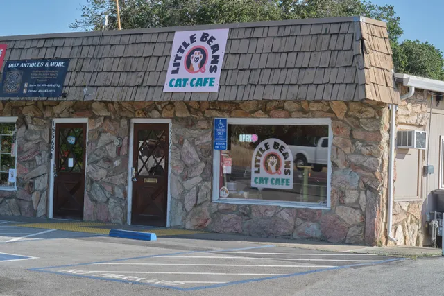 Little Bean's Cat Cafe