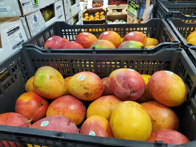 Procacci Brothers Sales Corporation/Garden State Farms