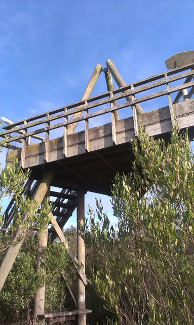 Pukemokemoke Bush Reserve