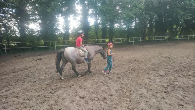 Eventlocation & Reit- und Ponyhof Niers