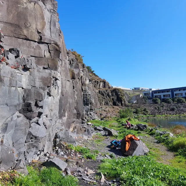 Maungarei Springs (Stonefields) Crag