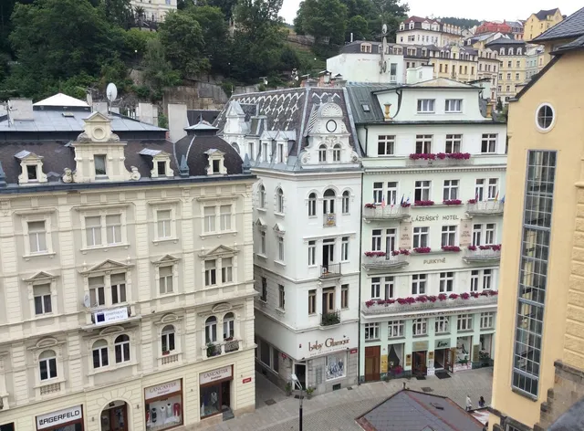 Spa Hotel Purkyně Karlovy Vary