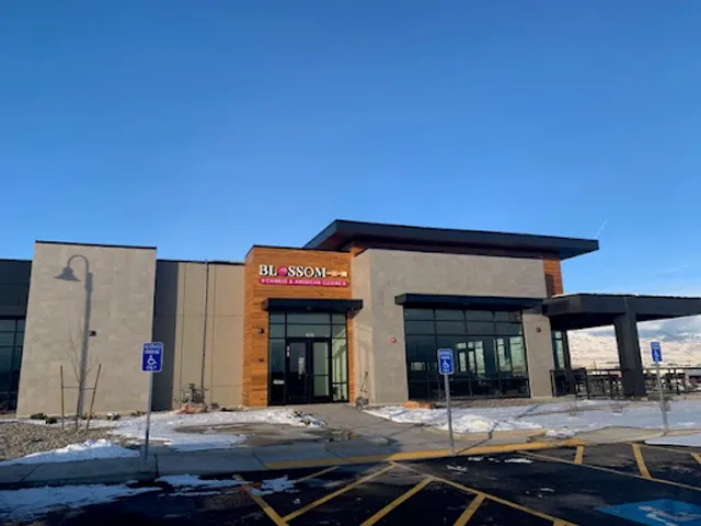 Blossom Chinese & American Restaurant