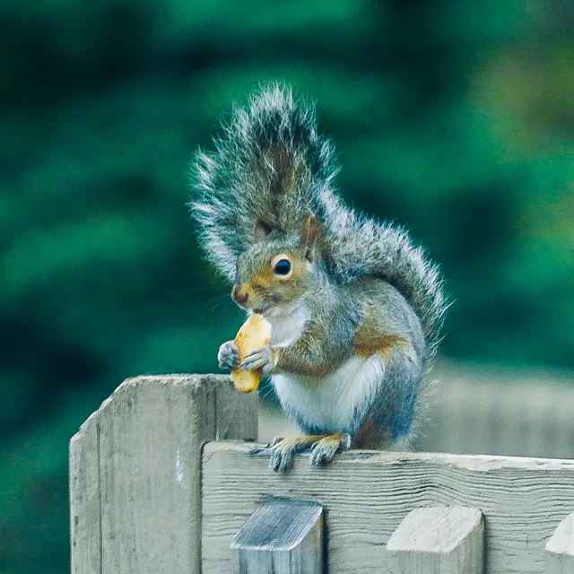 Cincinnati Recreation Center