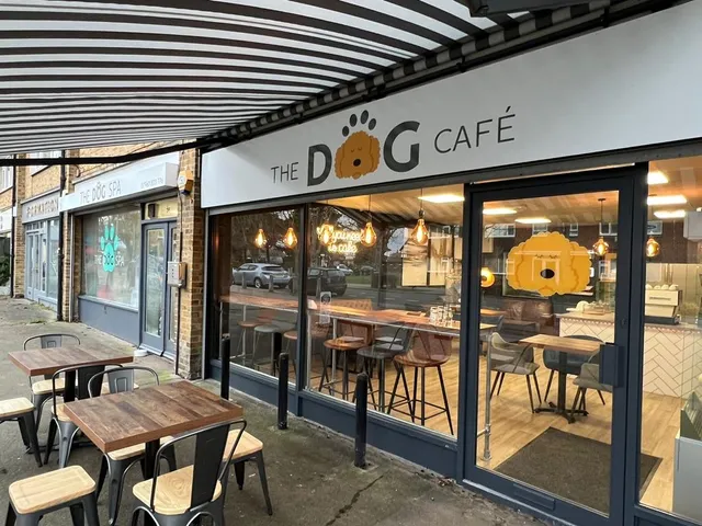 The Dog Cafe