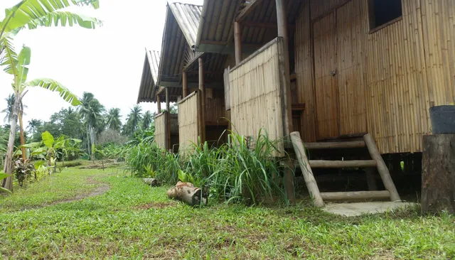 Banana Grove Backpackers Inn