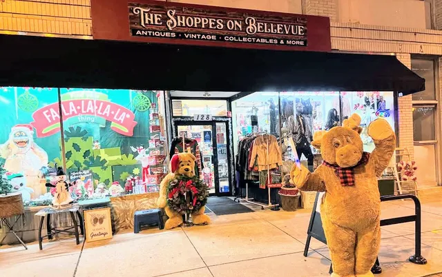 The Shoppes on Bellevue