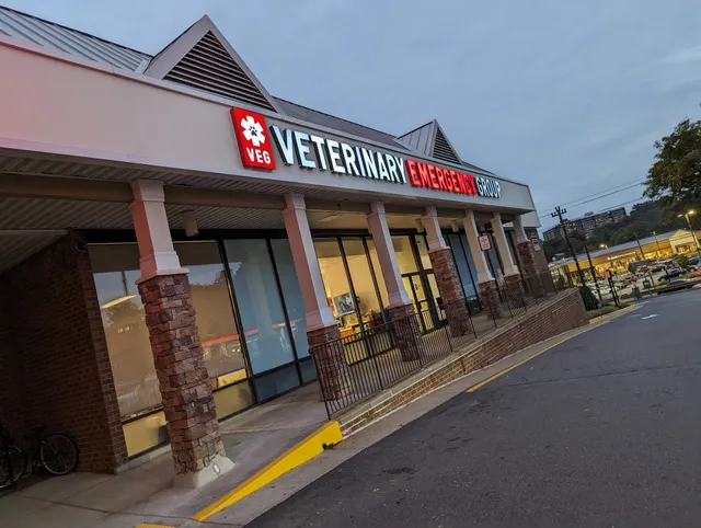 Veterinary Emergency Group