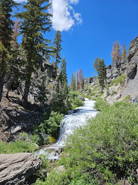 Kings Creek Trailhead
