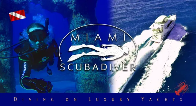 Miami Scuba Diver